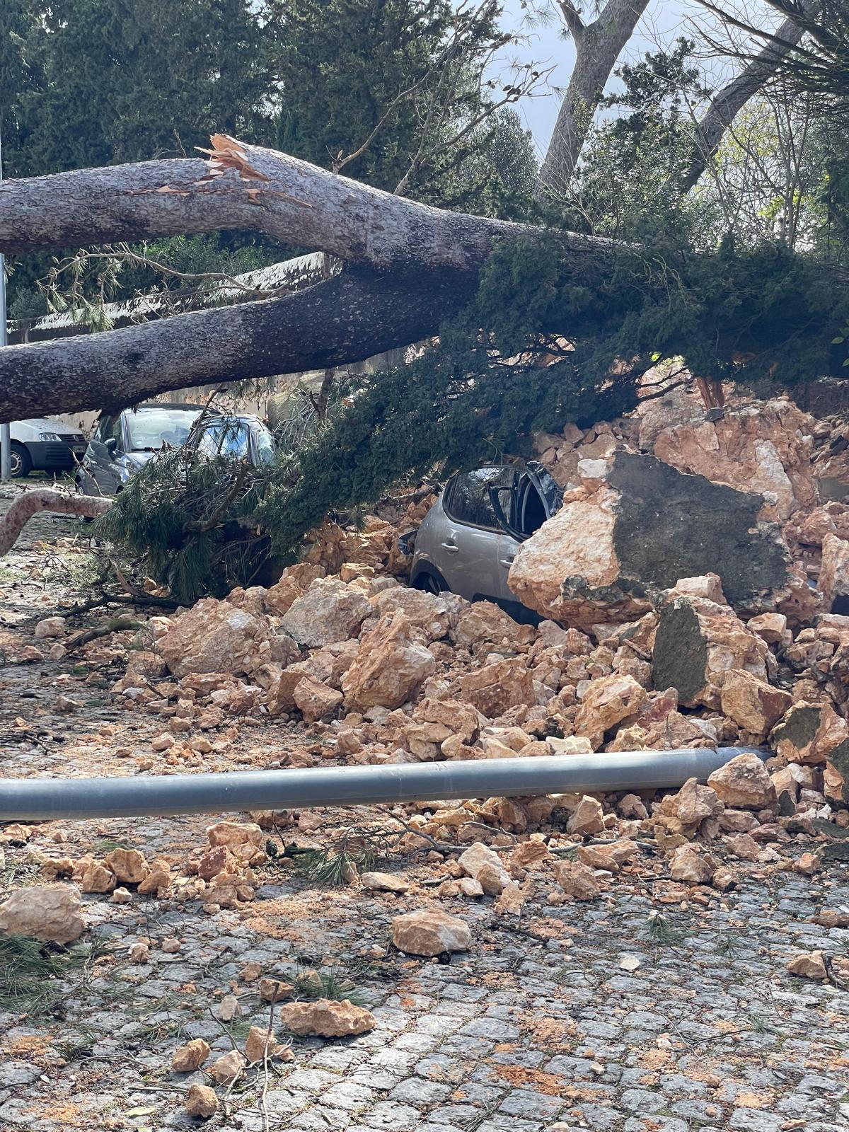 Imagens do rasto de destruição na zona da Tapada das Necessidades em Lisboa