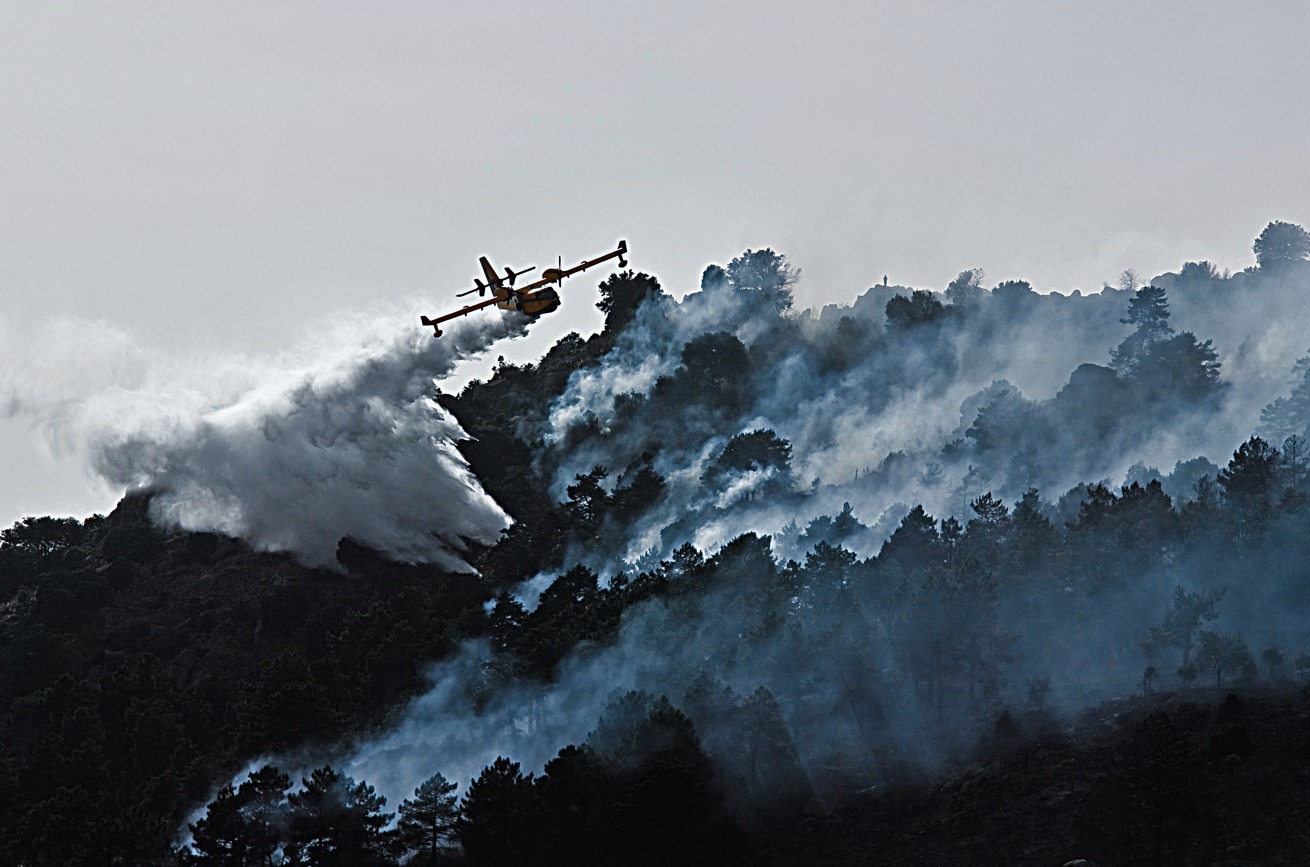 Incêndio que começou em Arganil apresenta maior área ardida de sempre